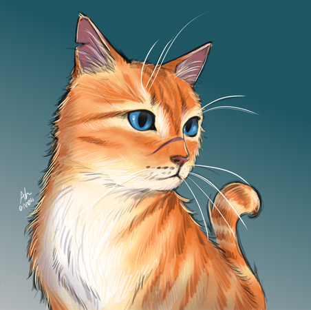 Older Chadwick for Heiko on Discord