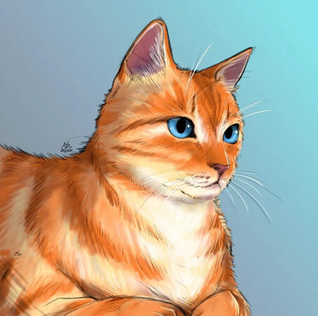 Chadwick for Heiko on Discord
